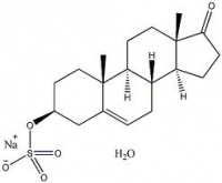 Avata